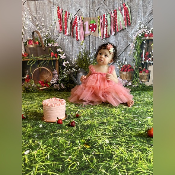 Strawberry Photography Backdrop - Berry First Birthday Cake Smash - Picture 3 of 3